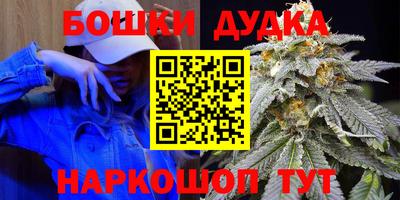 крисы Будённовск